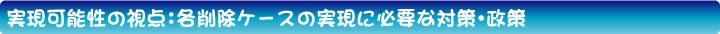 実現可能性の視点：各削除ケースの実現に必要な対策・政策
